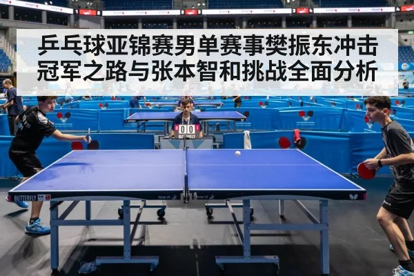 乒乓球亚锦赛男单赛事樊振东冲击冠军之路与张本智和挑战全面分析